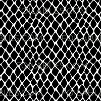 Animal Prints - Volume 2