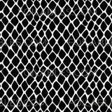 Animal Prints - Volume 2