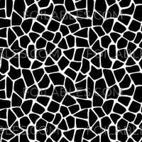 Animal Prints - Volume 1